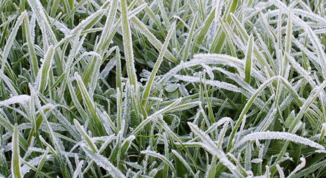 c_pic_171414862963602-1