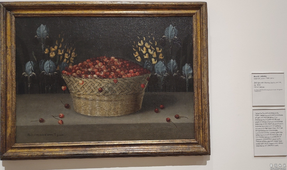 d4b8a83_type_2_size_980_168_end