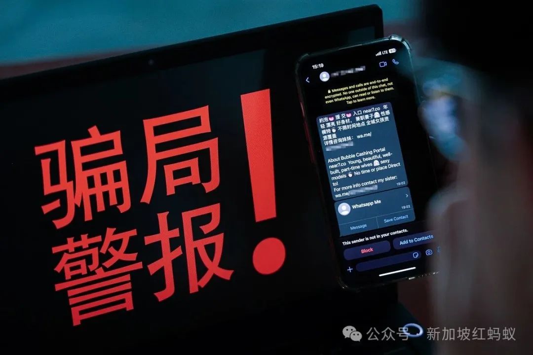 c_pic_170633070529686