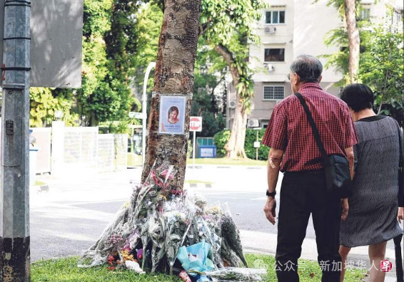 c_pic_170641874124739-1