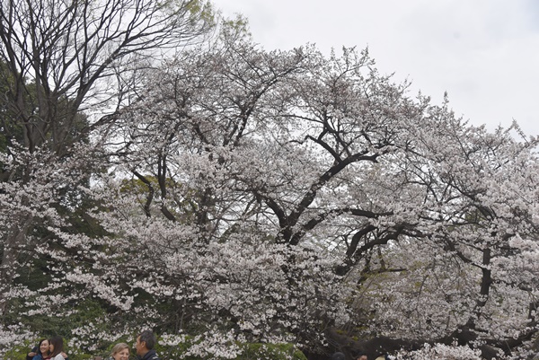 159da56e1078tzoq2lyv