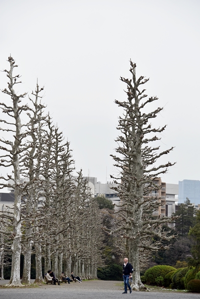 227d4ce37115lbpto5rp