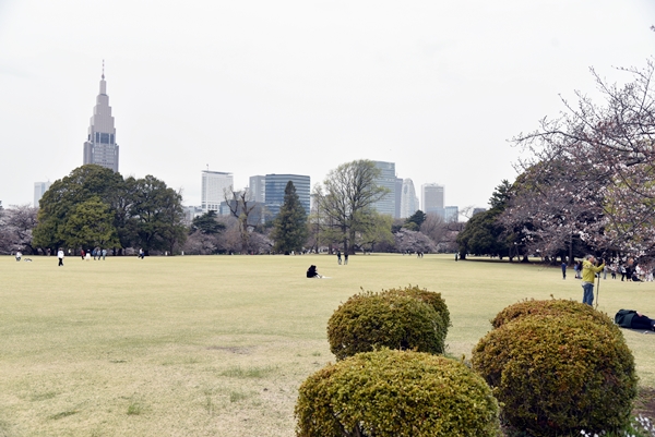 227d4ce37129vt4ci0g4