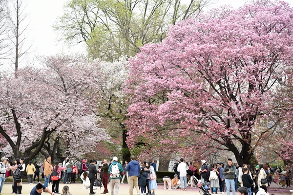 227d4ce37193zdxikn8b