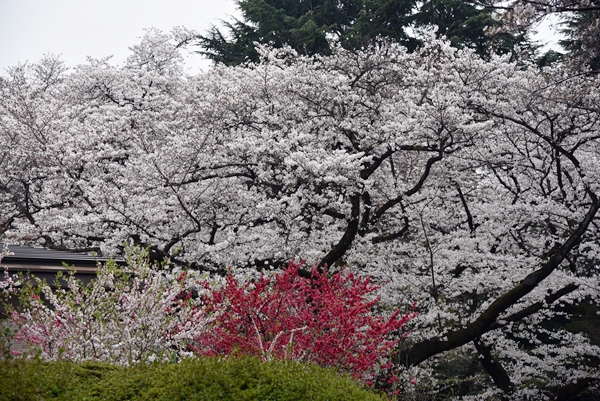 227d4ce37216w5tbhjho