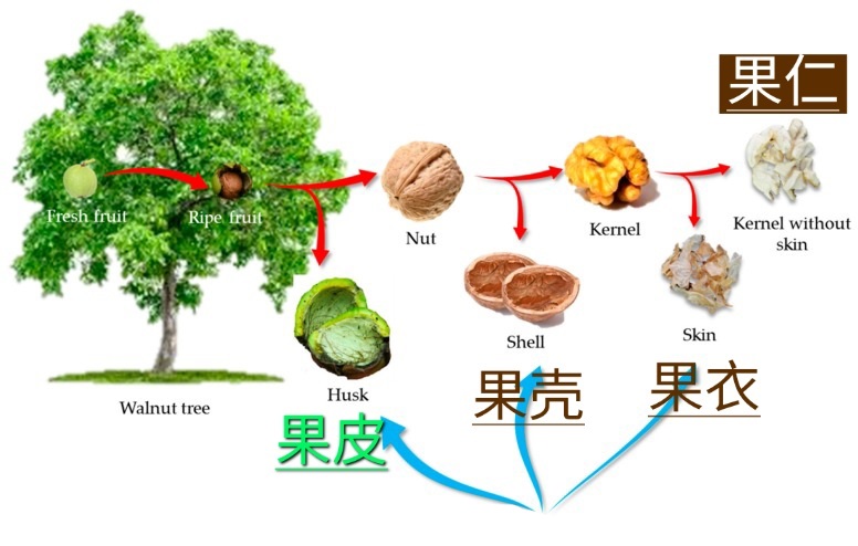 35f41eef3113inhhcrg0