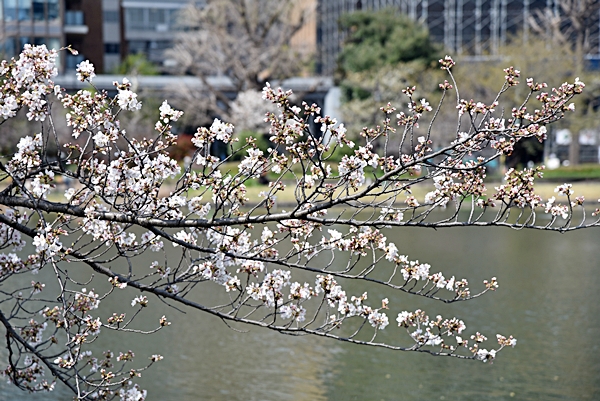 3eb248f28451uo0dsqjr