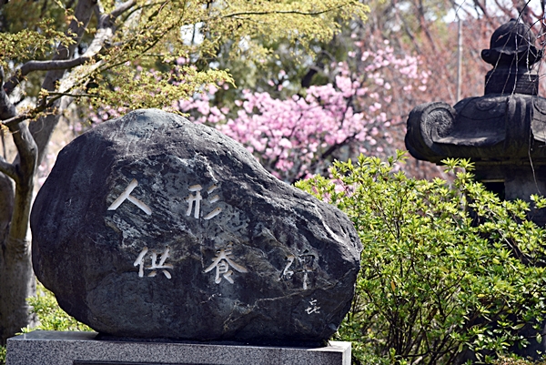 3eb248f28688kneg1pz7