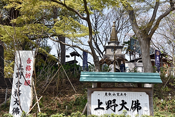 3eb248f28972cvklgy0w