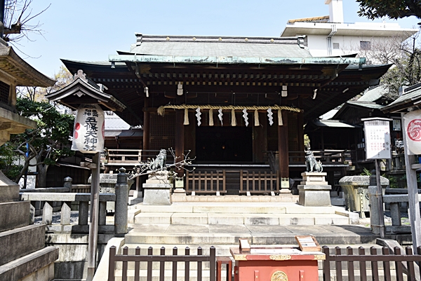 7ae7e0ad4467ipgclkxp