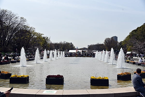 7ae7e0ad4557dbnglsjt