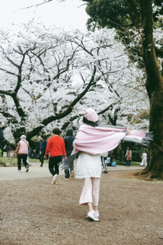 986bef1066297puwjq3g