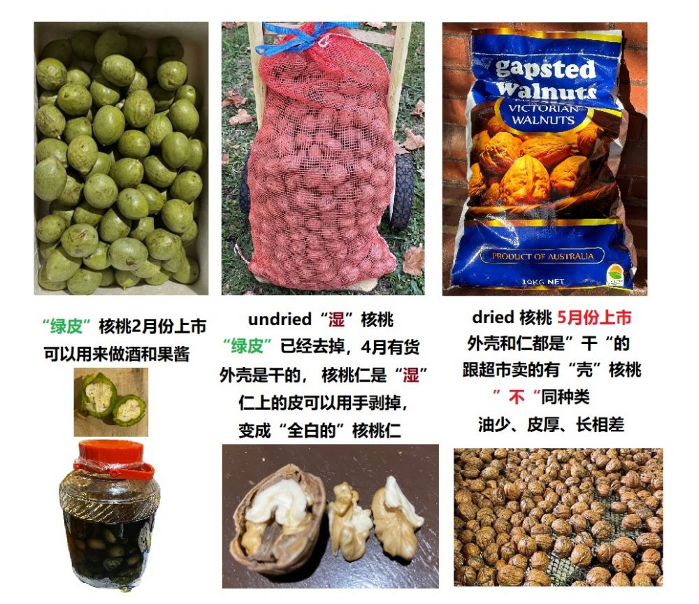 a1985f461853gxrigq7c