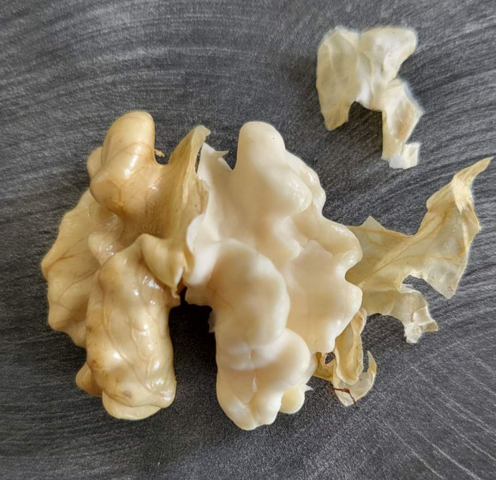 a1985f461879yiidxlmq