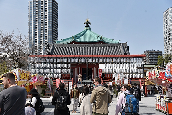 e9365bb00687006f9bwz