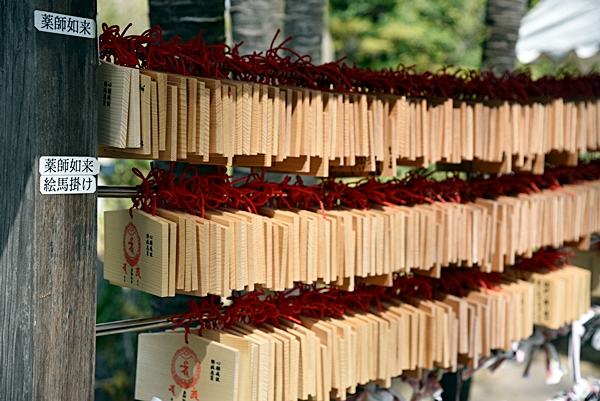 e9365bb01042ldjtplmm