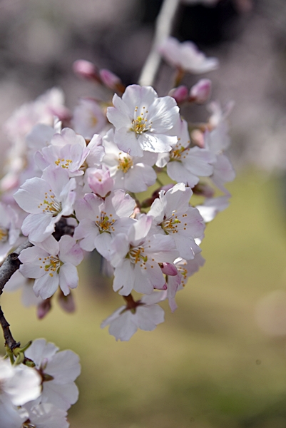 e9365bb01070ldo4j9uw