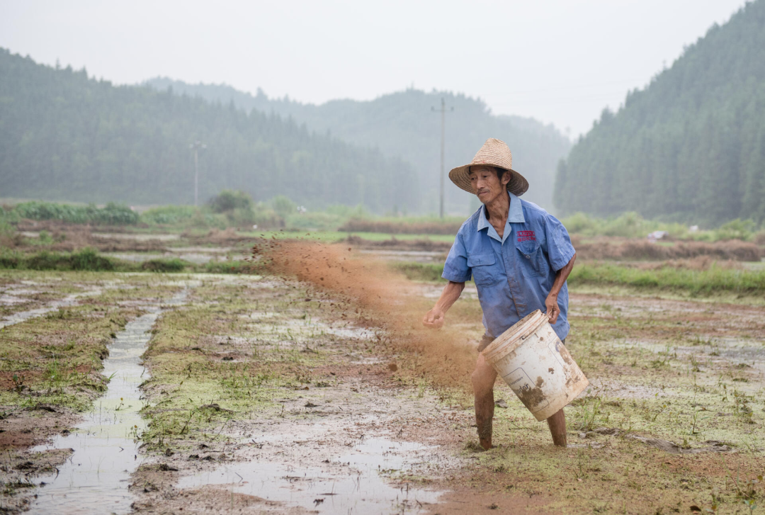 fo5b1o0gbjudu7m9eqgntehblf8a