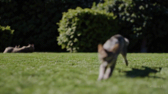 lhnyjjw5qqwrfzd7s-pty9y8z8bw