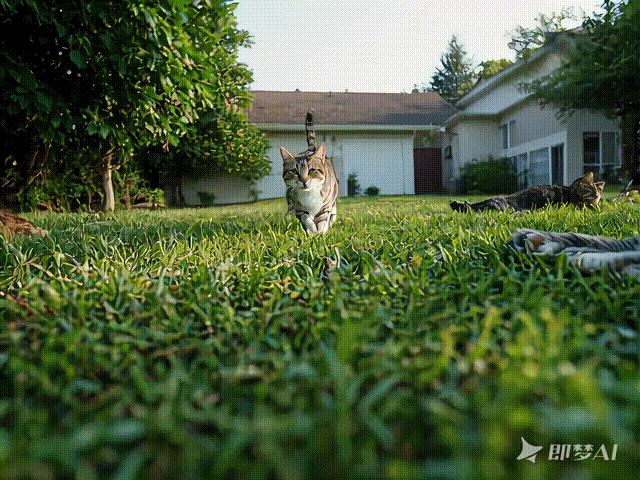 lkjecg0acbmkq4urkocmikuvcohq