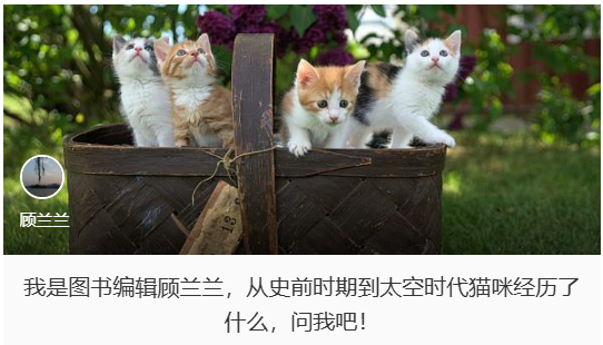 4c3a3191-b22f-4e26-afe6-3f2f4b14f9cc